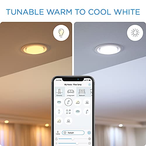 WiZ BR30 Color and Turnable White Bulb 556142