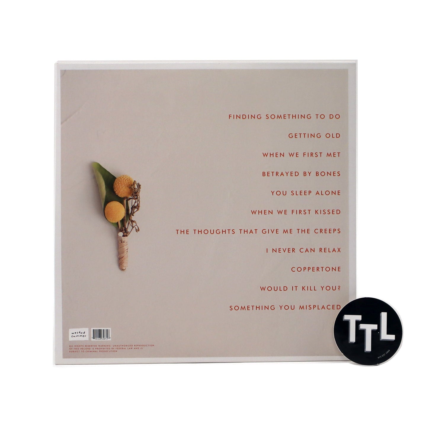 Hellogoodbye: Would It Kill You? (Gold Colored Vinyl) Vinyl LP