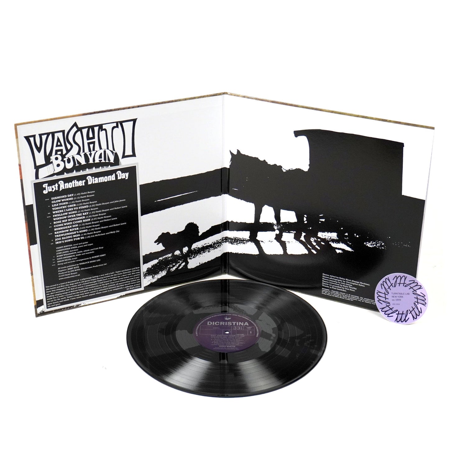 Vashti Bunyan: Just Another Diamond Day Vinyl LP