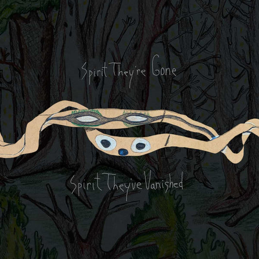 Animal Collective: Spirit They're Gone, Spirit They've Vanished - Deluxe Edition (Indie Exclusive Colored Vinyl) Vinyl 3LP