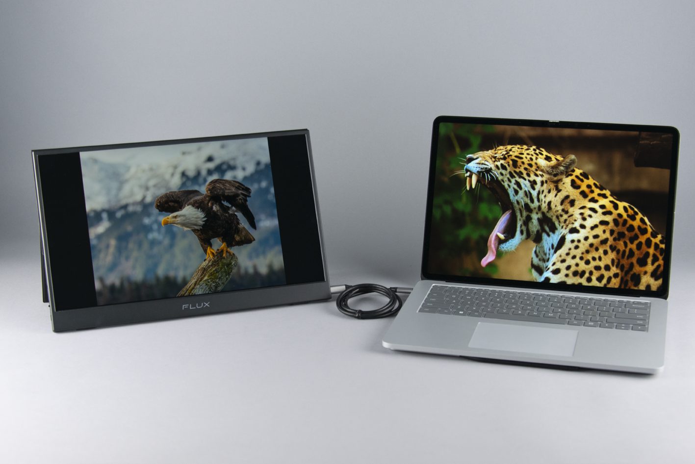 USB-TV-1080: 15.6" 1080P USB HDMI Monitor