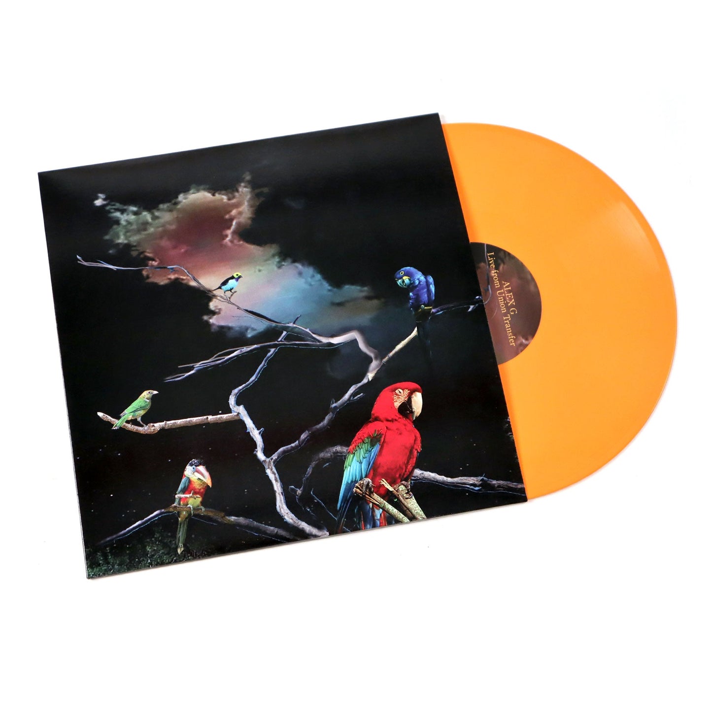 Alex G: Live From Union Transfer (Indie Exclusive Colored Vinyl) Vinyl LP - LIMIT 1 PER CUSTOMER