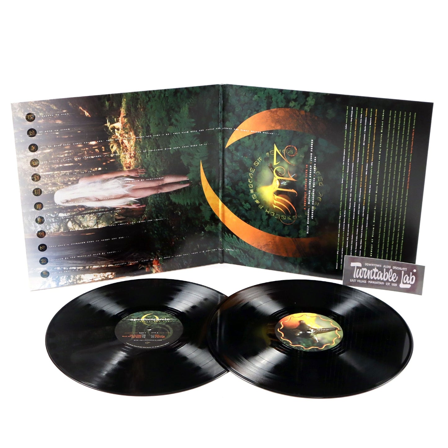 A Perfect Circle: Thirteenth Step Vinyl 2LP