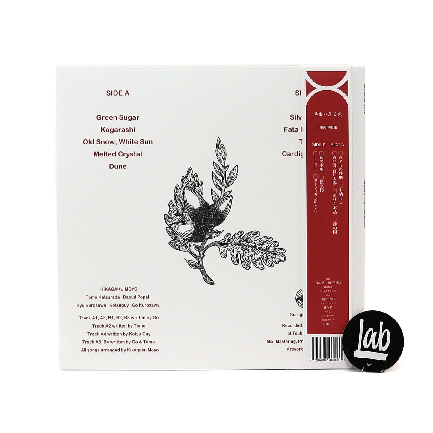 Kikagaku Moyo: House In The Tall Grass Vinyl LP